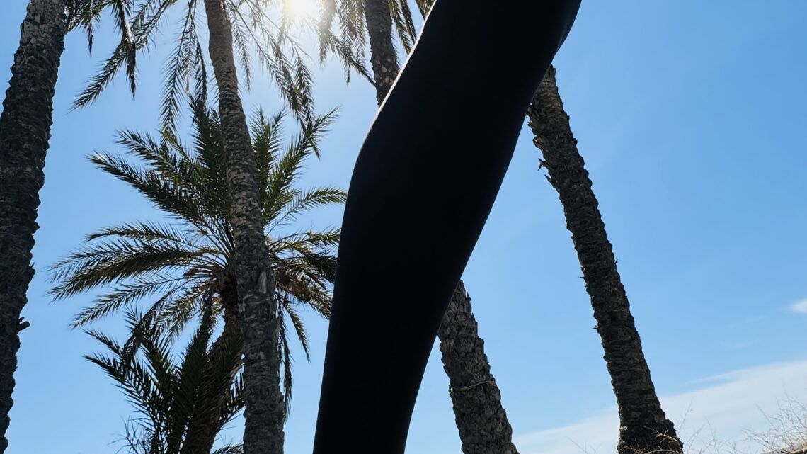 🇪🇸Plane deinen Spanien Urlaub und erlebe mit mir eine BDSM Session.